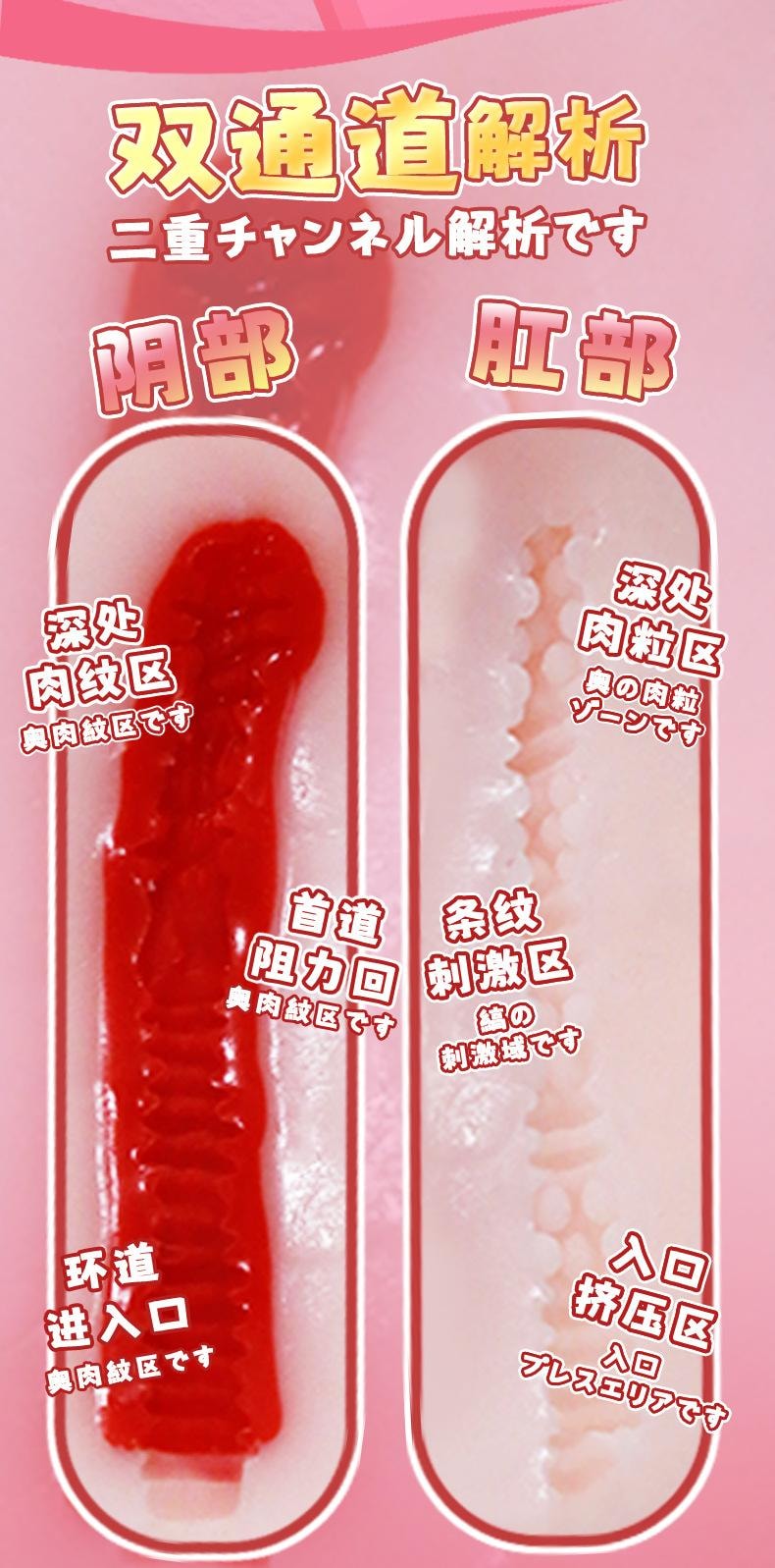 【中国直邮】RENDS 半身女体倒模2.5kg双通道名器飞机杯男性解压玩具