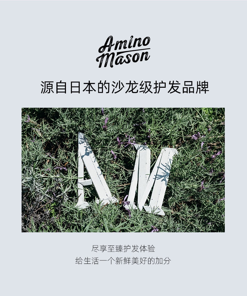 AMINO MASON 氨基酸植物清爽洗发水 450ml