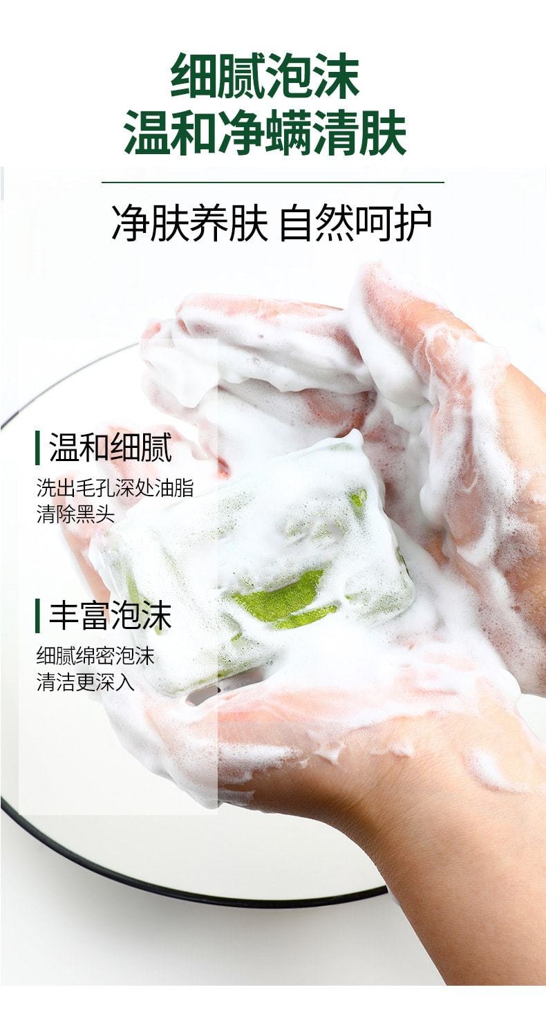 中國 南京同仁堂 硫磺淨蟎皂 潔面控油去蟎蟲全身沐浴洗臉皂100g/盒(清潔養護2合1)