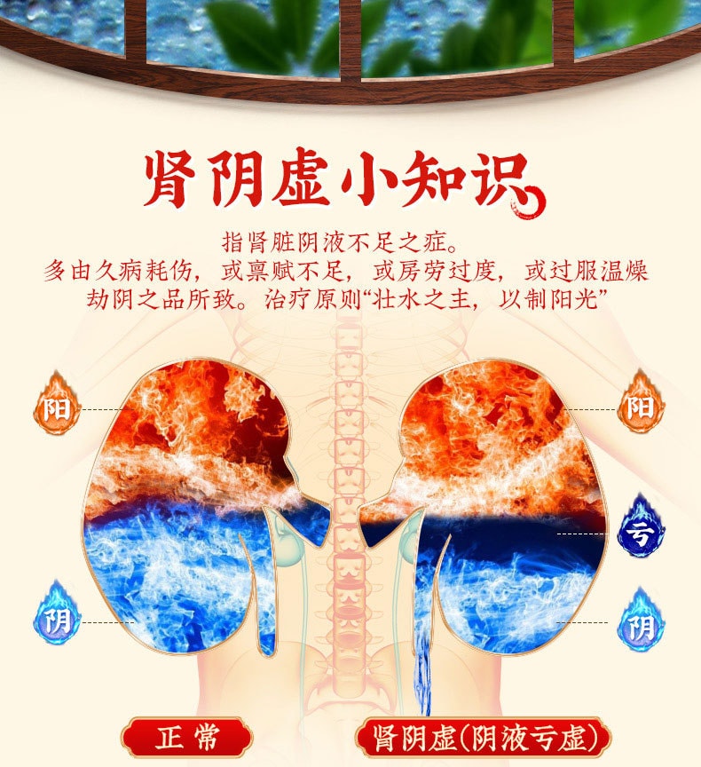 【中国直邮】北京同仁堂 六味地黄丸补肾固精强肾男士六位味地黄丸10丸/盒
