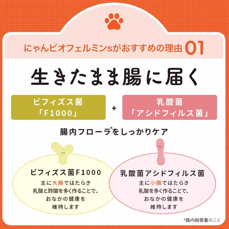 【日本直郵】 日本 TAISHO PHARMACEUTICAL CO 大正製藥 寵物貓咪用表飛鳴S腸胃健康調理粉末 乳酸菌雙歧桿菌配合 40g