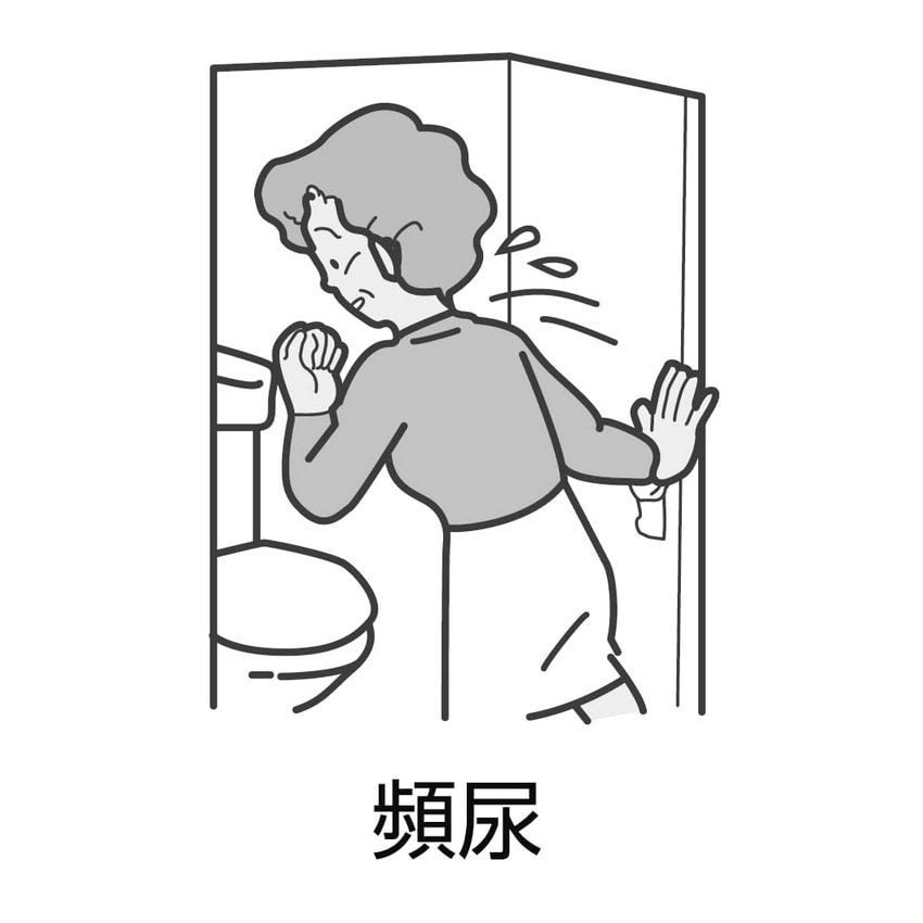 【日本直邮】八味地黄丸  尿频 肾虚 腰痛 漏尿 排尿困难 540粒