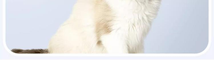 得乐 【15mm弹性电镀钢针】 宠物梳毛刷 1个  猫狗专用清洁护理除毛按摩神器宠物按摩梳 深入毛发祛毛去浮毛开结【一键伸缩推板设计】 天青色