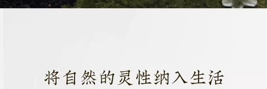 宋朝 四季闲庭系列扩香石摆件 送礼好物 高级香氛 雅韵白茶·馥奇花香调 容器*1 扩香石*1袋 精油*2 干花*1包