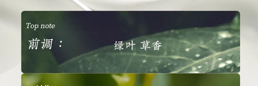 宋朝 四季闲庭系列扩香石摆件 送礼好物 高级香氛 雅韵白茶·馥奇花香调 容器*1 扩香石*1袋 精油*2 干花*1包