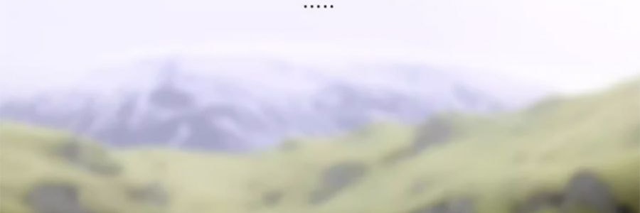 宋朝 四季闲庭系列扩香石摆件 送礼好物 高级香氛 雅韵白茶·馥奇花香调 容器*1 扩香石*1袋 精油*2 干花*1包