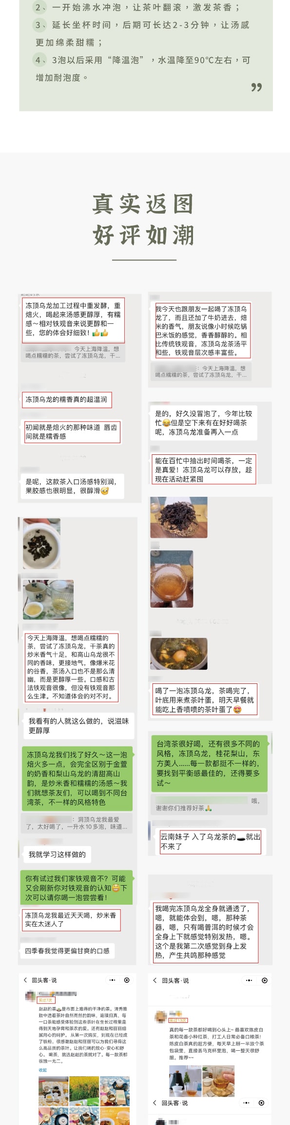 美国 赵赵的茶 ZhaoTea 冻顶乌龙 台湾台中 经典乌龙茶 炒米香 汤感温和 60g