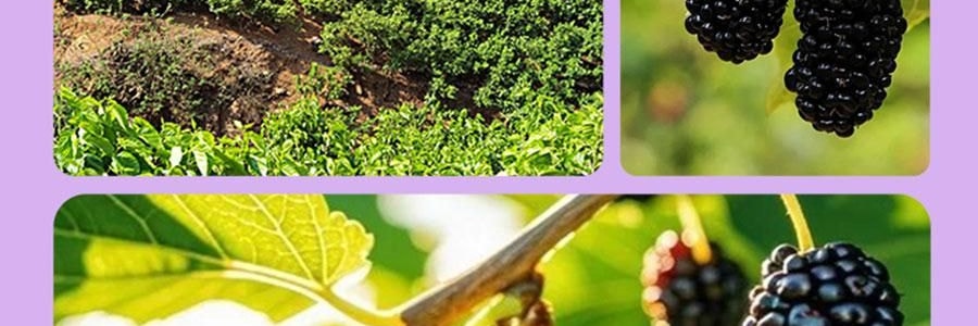 维汉 桑葚干 200g【山姆同款】【健康0添加 富含花青素】