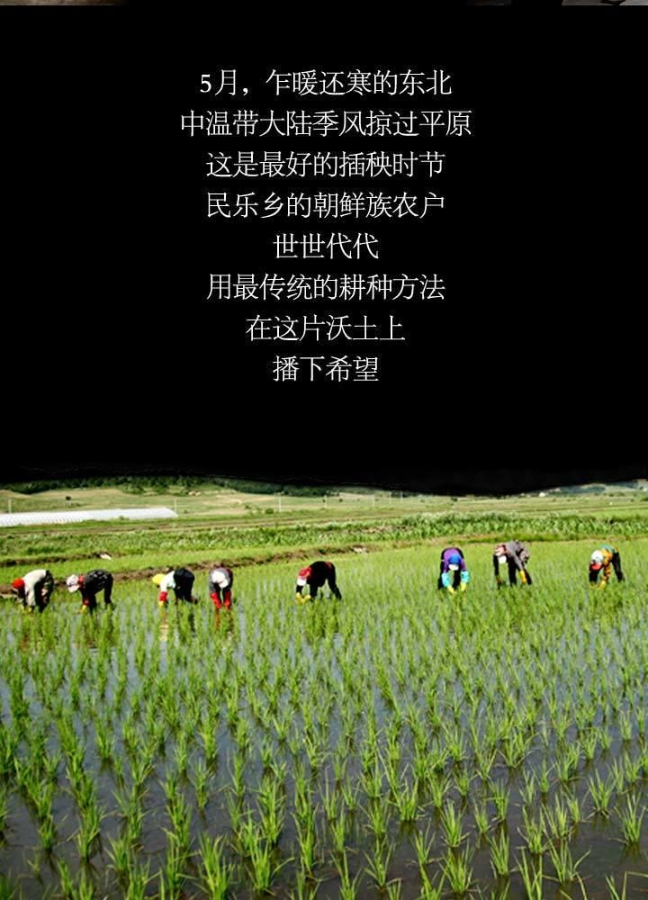 【中國直郵】 水月秦淮 五常米 2.5kg 優質稻花香 軟糯甜東北米