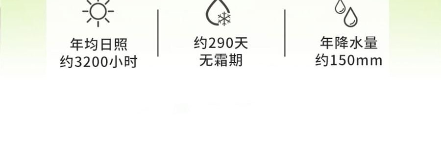 维汉 绿香妃葡萄干 310g【甜润饱满】【健康0添加】【山姆超市同款】