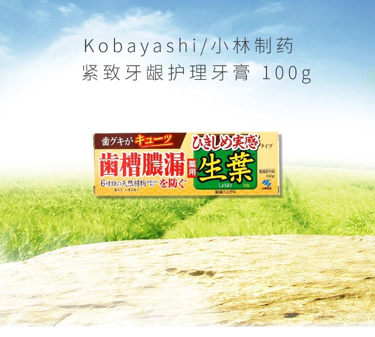 【日本直邮】日本KOBAYASHI 小林制药 生叶天然植物牙膏 有效防止牙周炎 清新口气 黄色装 100g