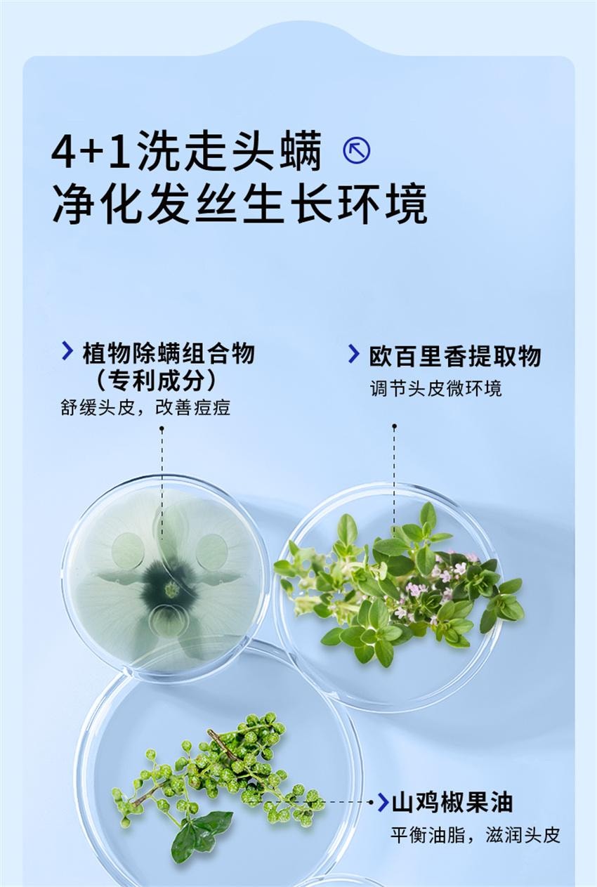 【中国直邮】 EHD 控油祛痘洗发水 祛痘除螨 去屑控油蓬松 改善油痘屑痒洗发露 500ml/瓶(明星达人推荐)