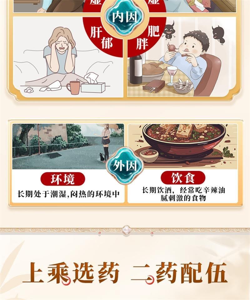 Ermiao Pills 6g*12 bags/box