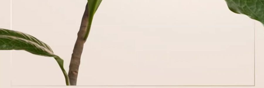 PANTENE潘婷 深水泡彈髮膜 膠原蛋白柔順燙染受損髮質 便攜裝護髮素 滋養型 12ml*8顆
