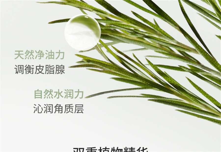 【中国直邮】袋鼠妈妈  准孕妇护肤品茶树控油套装补水保湿水乳油皮专用化妆品  茶树柔肤水150ml+茶树调肌乳120g