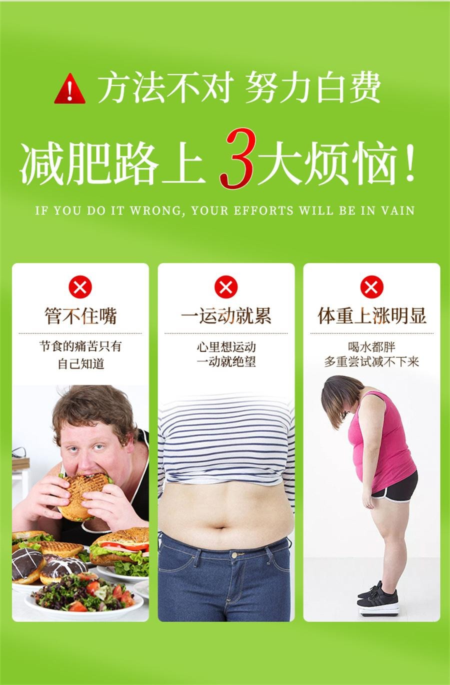 【中國直郵】 京都安順堂 茶多酚荷葉膠囊 左旋肉鹼植物草本抑制食慾減脂瘦身減肥20g/瓶