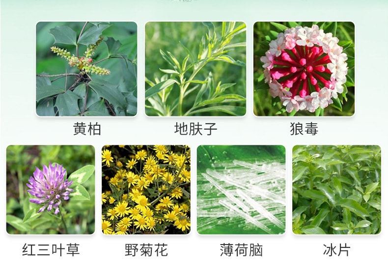 【中国直邮】足康净抑菌粉 100g 