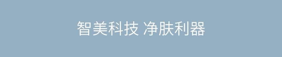 【中國直郵】小米有品inFace黑頭儀 白色 黑頭儀