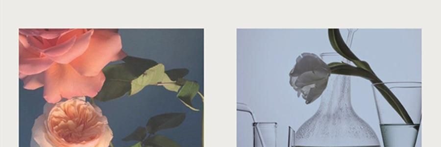 RE CLASSIFIED RE调香室 东方茶系列无火香薰 香薰挥发液室内留香无火香氛 小径新泽 150ml