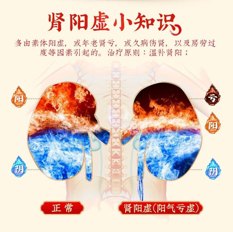 【中國直郵】北京同仁堂 桂附地黃丸補腎腎陽虛男補丸壯腰健腎藥 360丸 x 1盒