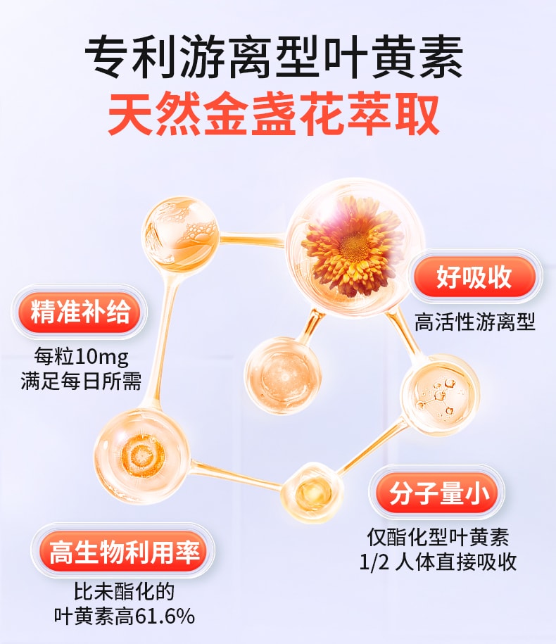 【中國直郵】萊特維健 藍莓健眼葉黃素膠囊60粒青少年大人眼睛保養護眼明目