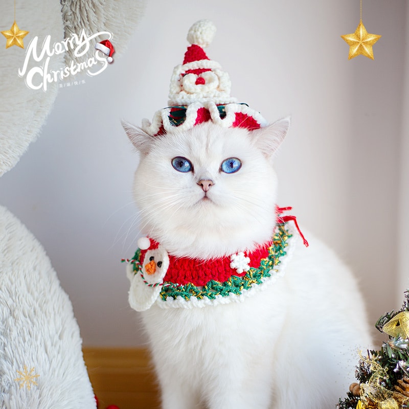 【中国直邮】 FOXTAIL 圣诞节宠物饰品 围脖挂饰/猫咪狗毛线装饰/围巾项圈/手工编织-B01麋鹿 1个*|预计到达时间3-4周