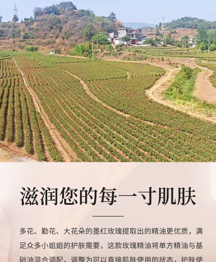 中國嬴曌雲南墨紅玫瑰精油補水保濕臉部精油20ml