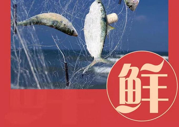 【中國直郵】 鷹金錢 金獎豆豉鯪魚罐頭 即食 227g*2罐