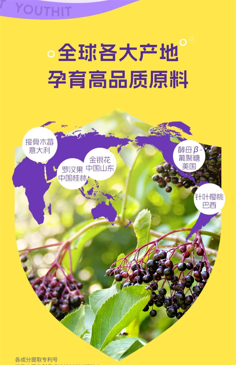 【中国直邮】Youthit优思益 接骨木莓成人免疫维生素VC饮14袋/盒提高免疫力浆果