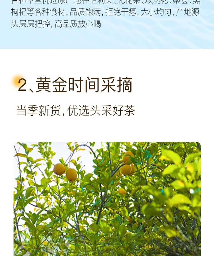 李陌茶早c晚a桑葚玫瑰刺梨枸杞黑枸杞花水果茶包vcva组合养生礼盒2盒装