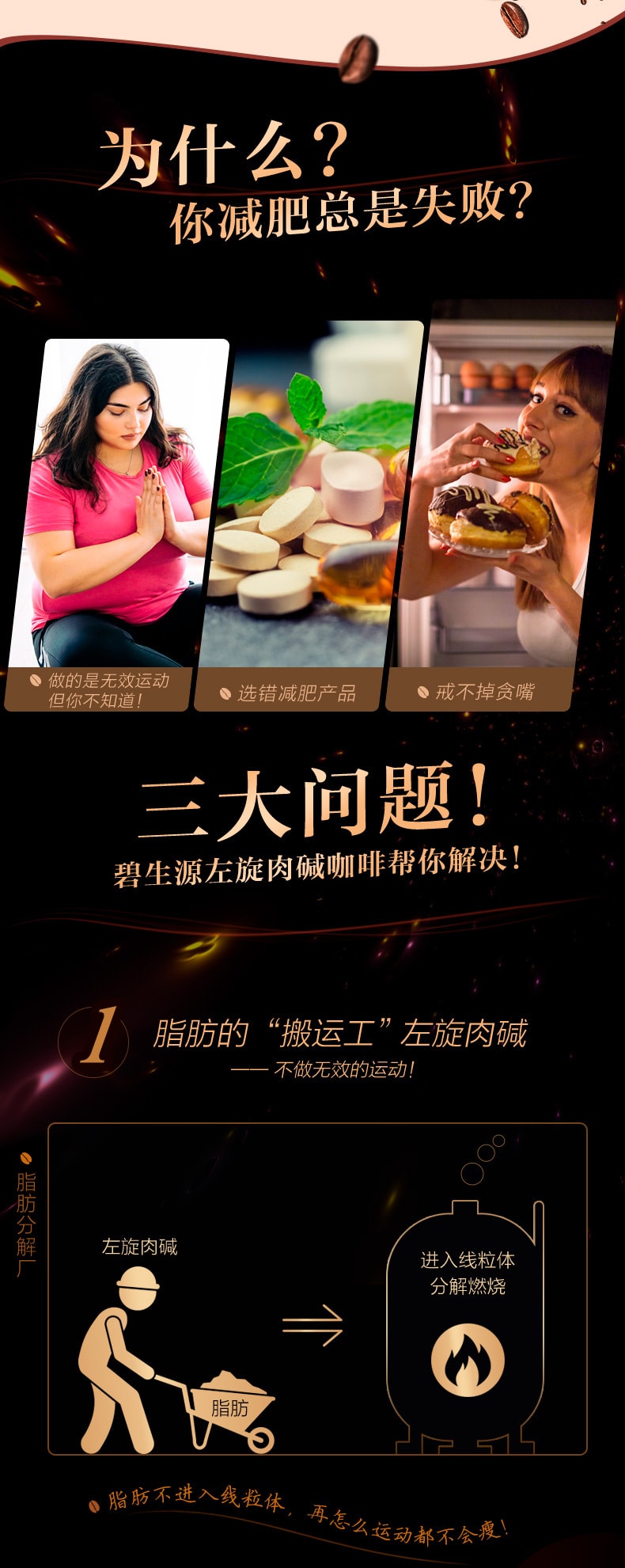 【中国直邮】碧生源   左旋肉碱减肥咖啡减肥餐   10袋