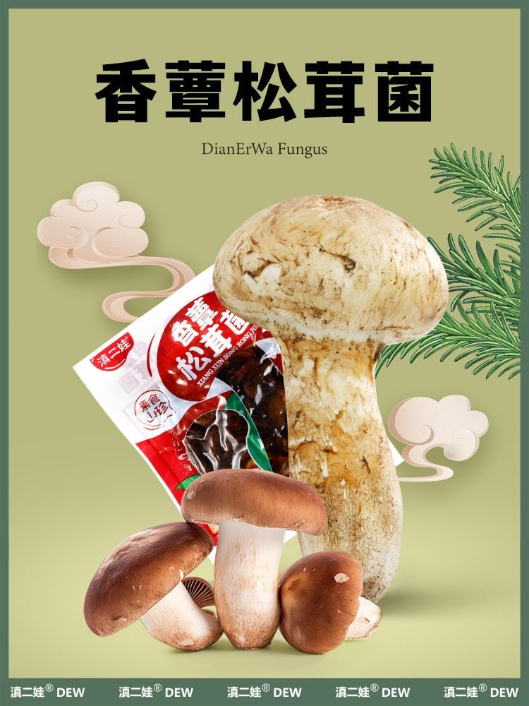 滇二娃 風華食光 雲南特產即食山野珍品 (松茸菌 牛肝菌 雞樅菌) 3種即食香菇零食下飯菜 六包125克±5克