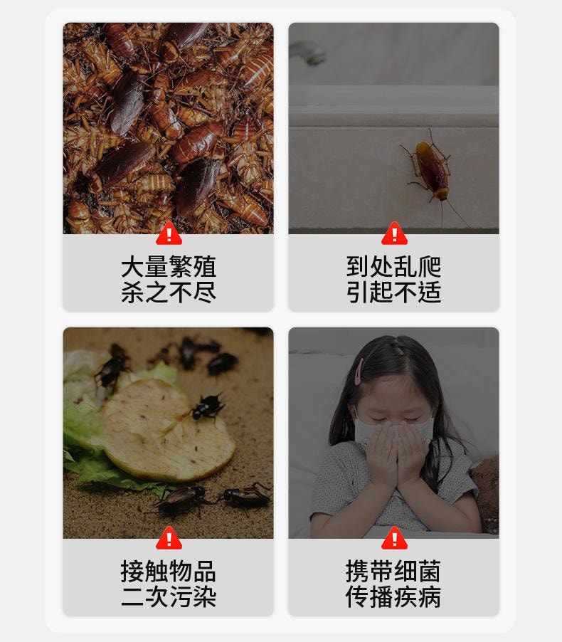 老管家 杀蟑胶饵灭蟑螂药非无毒家用室内孕婴正品杀虫蟑螂胶饵剂   10g/支