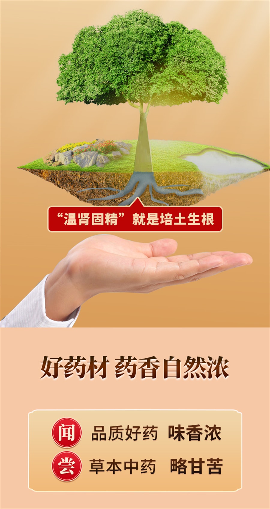 【中国直邮】向前 锁阳固精丸早泄治疗男用持久男人补肾固精强肾阳虚仲景固金丸胶囊 9g*10丸/盒