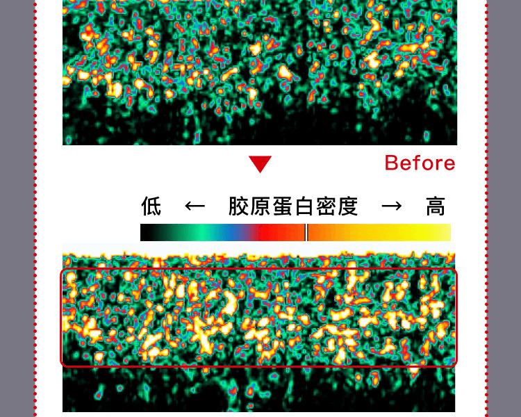 ASTALIFT 艾诗缇||THE SERUM臻粹精华眼部日用抗皱棒||5g