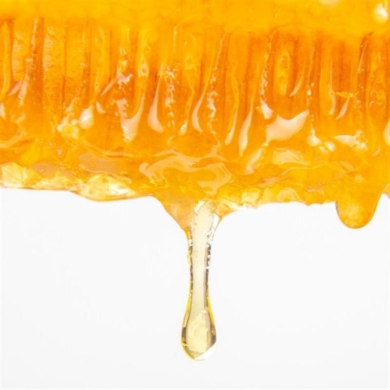 日本 花綺HACCI 人氣伴手禮 最受歡迎白色三葉草蜂蜜使用 蜂蜜糖果喉糖 3枚入 花朵盒子