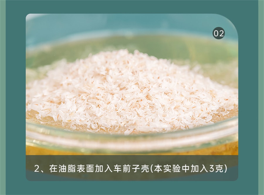 【中国直邮】享滋  洋车前子壳粉圆苞车车前原壳壳子粉膳食纤维粉饱腹感代餐洋前车子   200g/罐