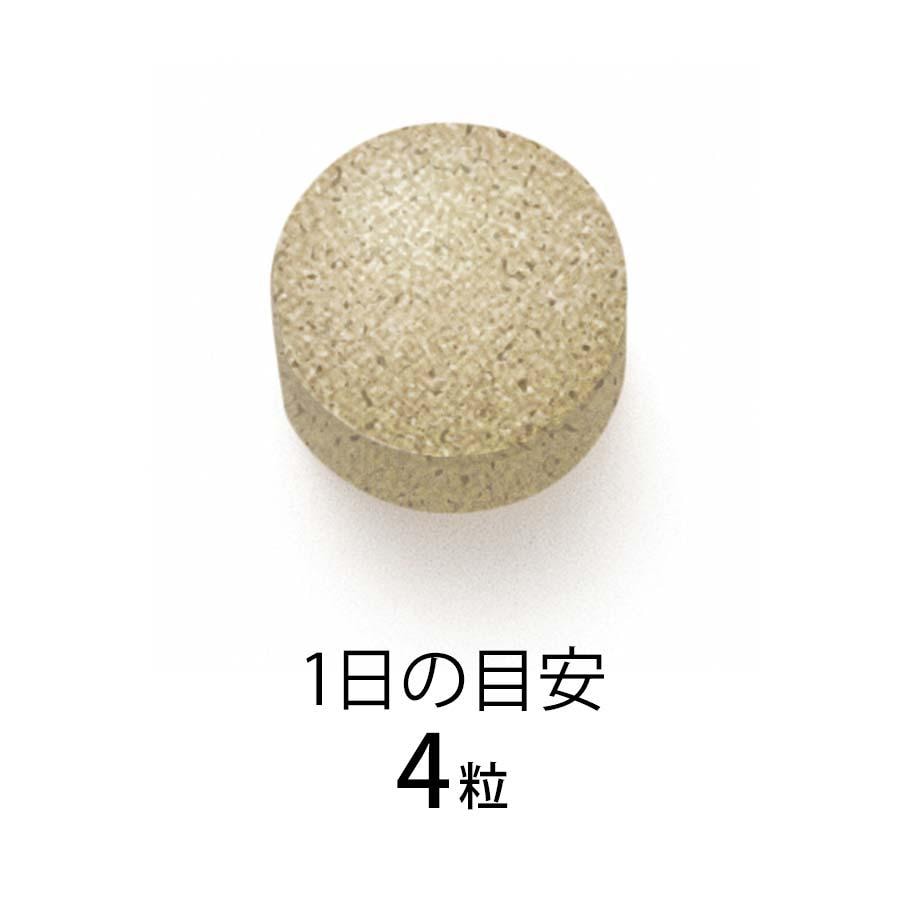 【日本直邮】日本 FANCL 新品 史上最强 升级特别金色版 减少腹部脂肪 抑制食物脂肪糖份 改善肠道蠕动 减肥酵素丸 30日份