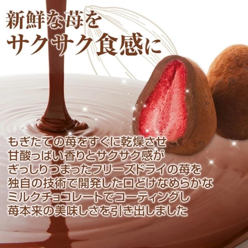 【日本直邮】日本 OMOCHI神户 可可草莓夹心松露巧克力 90g