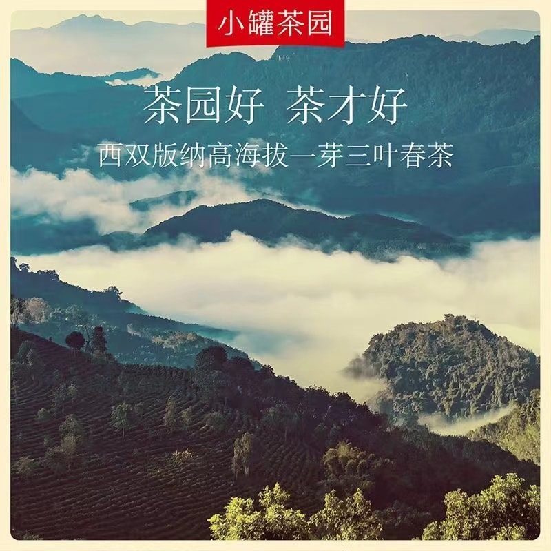 【中國直郵】 小罐茶 普洱茶(熟茶)散茶 1罐 65g 流金系列 普洱愛好者的常備茶