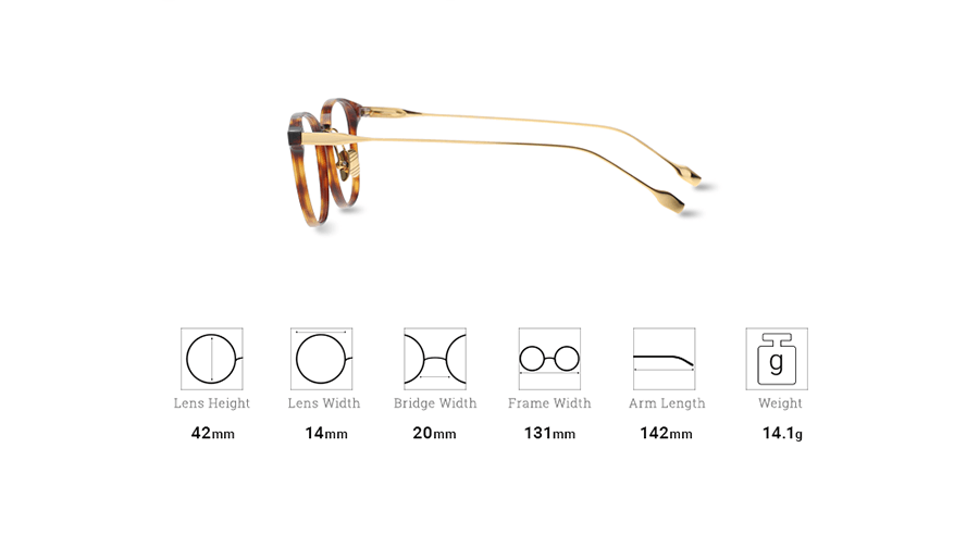 Digital Protection Eyeglasses: Tortoise (DL71004 C3) - Lens Included