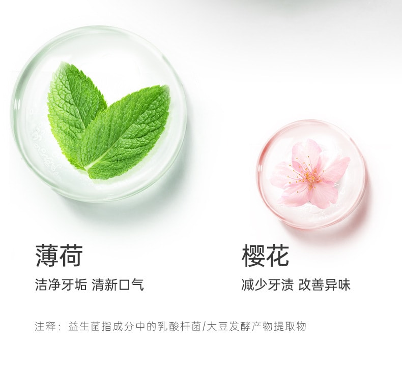 【中国直邮】致朵 清新口气口腔护理便携 薄荷益生菌固体咀嚼牙膏28.5g