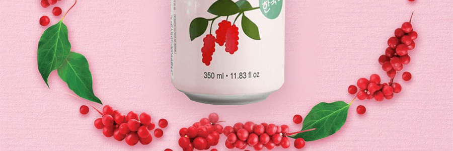 韓國WANG 五味子碳酸飲料 350ml*6