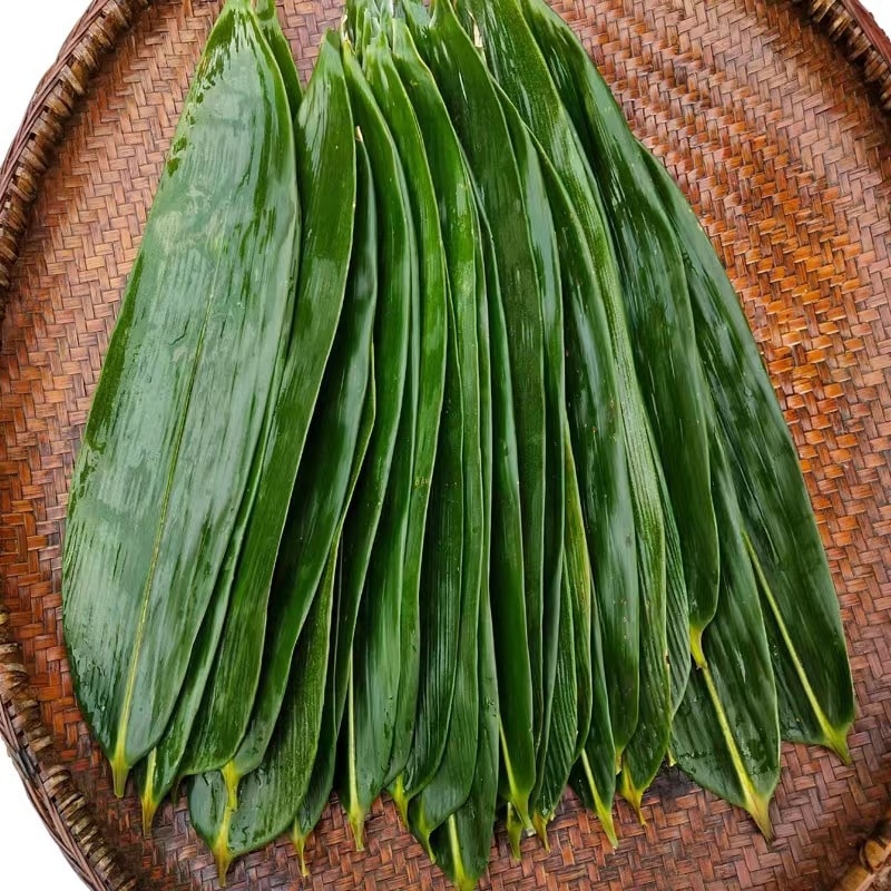 當季新鮮粽葉 50 片 箬竹葉 真空包裝 柔軟度好 店內另有粽子繩及包粽子模具 歡迎選購 端午節包粽子