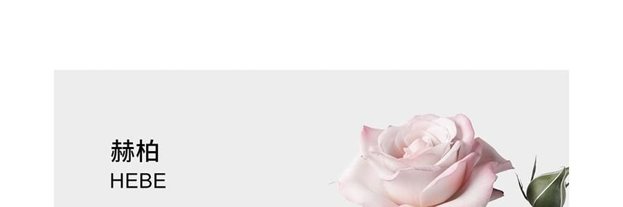 RE CLASSIFIED RE調香室 香氛蠟燭 清新淡香室內蠟燭香氛 梵蒂岡教宗圖書館 35g