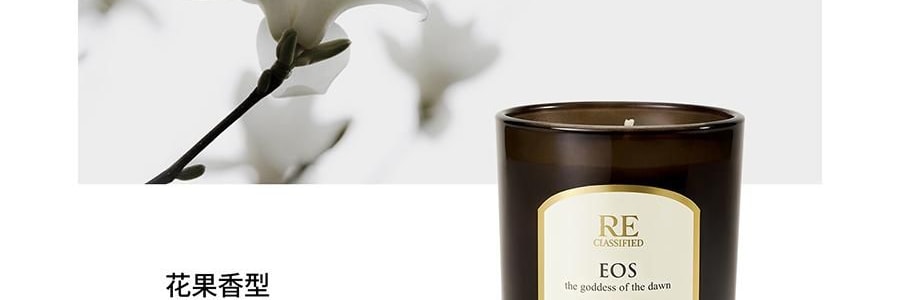 RE CLASSIFIED RE調香室 香氛蠟燭 清新淡香室內蠟燭香氛 梵蒂岡教宗圖書館 35g