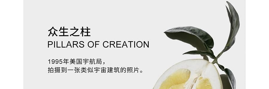 RE CLASSIFIED RE調香室 香氛蠟燭 清新淡香室內蠟燭香氛 梵蒂岡教宗圖書館 35g