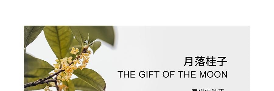 RE CLASSIFIED RE調香室 香氛蠟燭 清新淡香室內蠟燭香氛 梵蒂岡教宗圖書館 35g