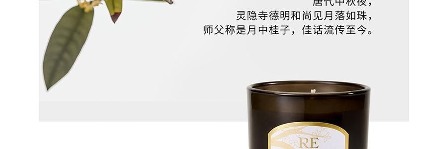 RE CLASSIFIED RE調香室 香氛蠟燭 清新淡香室內蠟燭香氛 梵蒂岡教宗圖書館 35g