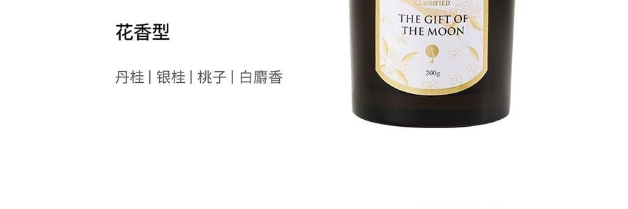 RE CLASSIFIED RE調香室 香氛蠟燭 清新淡香室內蠟燭香氛 梵蒂岡教宗圖書館 35g